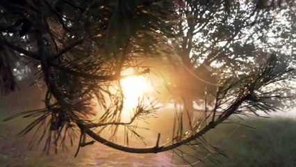 Video Nature - Come With Us (Ikutlah Dengan Kami) - Nat Keefe & Hot Buttered Rum