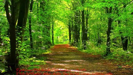 MAHALINI - MELAWAN RESTU|[Lyric + Cover(By TAMI AULIA)]