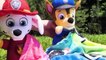 Best Toy Learning Video for Kids - Paw Patrol Snuggle Pup Picnic