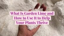 What Is Garden Lime and How to Use It to Help Your Plants Thrive