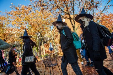 Halloween Is the Most Popular Check-in Day for Hotels This Year, According to Tripadvisor