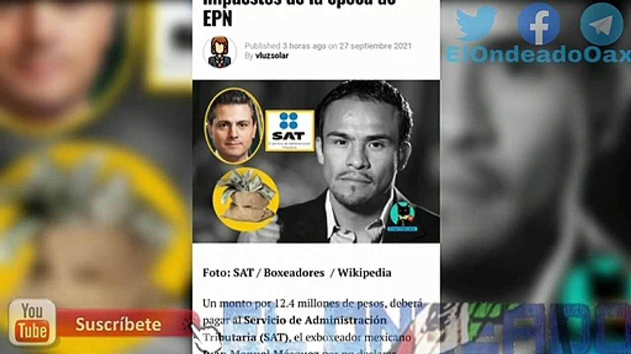SAT noquea  a Juan Manuel Marquez ¡Lo obligara a pagar los impuestos que no habia pagado! ¡No vas a creer cuanto es!