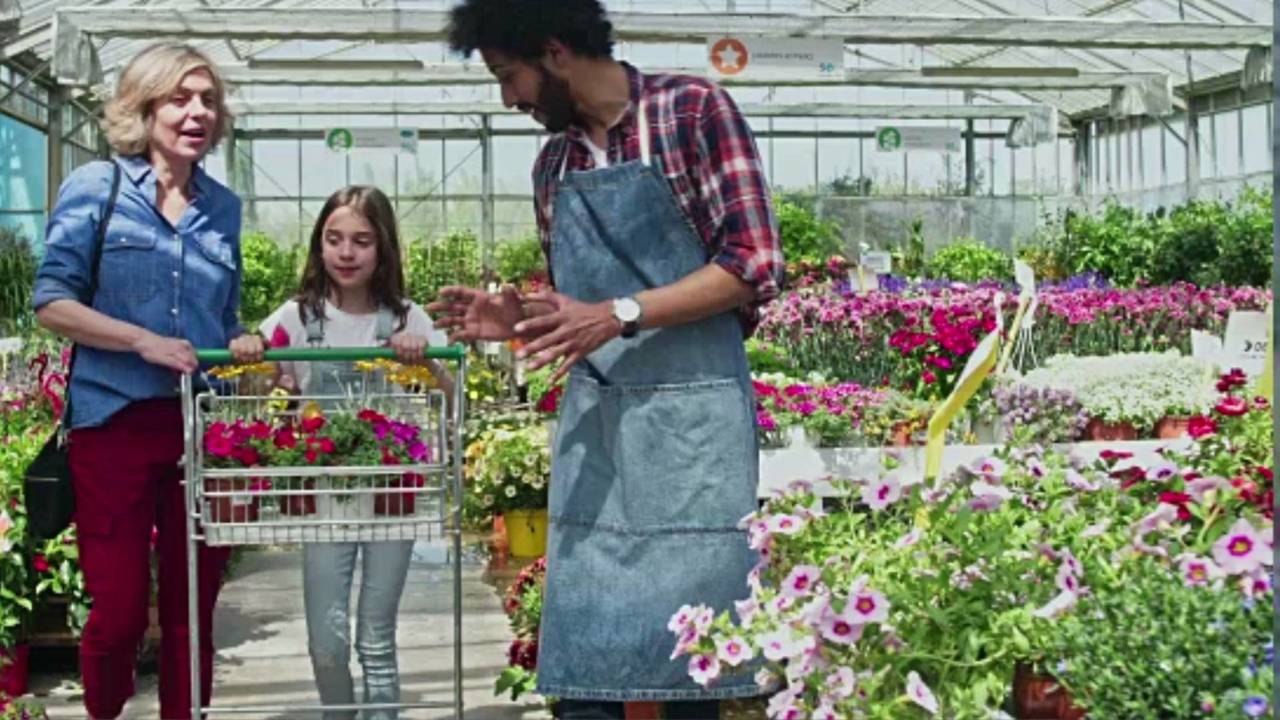 This Spider Lily Is A Gold Medal Winner