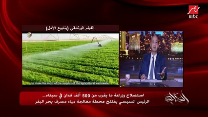 عمرو أديب: وزير المالية بيقول النهارده 55% من الاقتصاد المصري تحت الأرض.. في دولة كده في العالم