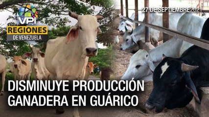 Noticias regiones de Venezuela - Lunes 27 de Septiembre