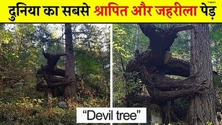 दुनिया का सबसे श्रापित और जहरीला पेड़  | Most Dangerous Tree  | Amazing Nature Facts