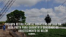 Cosanpa retira plantas aquáticas do lago da Água Preta para garantir a qualidade do abastecimento de Belém