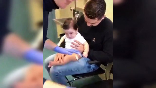 Funny pet videos | funny dogs and cats | cute animals | baby animals for kids | puppy videos | Compilation