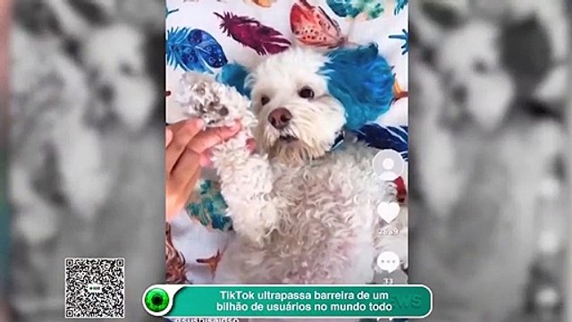 TikTok ultrapassa barreira de um bilhão de usuários no mundo todo