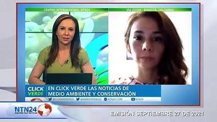 Contaminación por plástico estaría amenazando la estabilidad de los Océanos