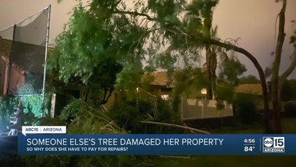 Valley woman faces dilemma after someone else's tree damages her property