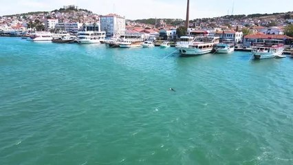 BALIKESİR - Ayvalık'ta yunusun şamandırayla oyunu drone ile görüntülendi