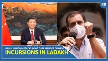 Rahul Gandhi attacks govt over issue of Chinese incursions in Ladakh, Uttarakhand