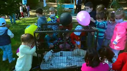 Yıldırım'da sokak hayvanları emin ellerde