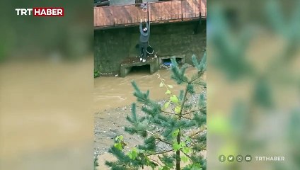 Mahsur kalan köpek için dereye indi