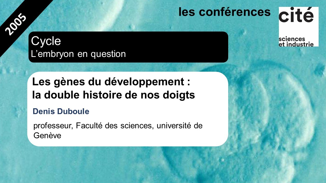 Les gènes du développement : la double histoire de nos doigts