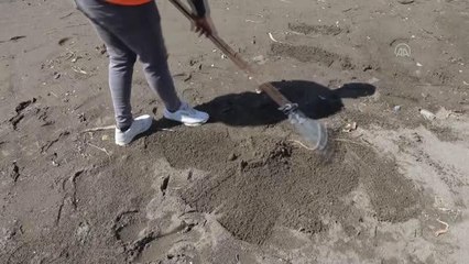 Suriye kaynaklı petrol sızıntısı temizliği sürüyor