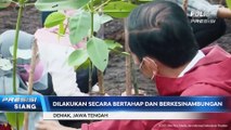 Rehabilitasi Hutan Mangrove, Kapolda Jateng Gagas Program Pageri Segoro