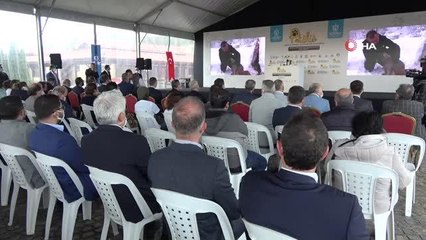 Felçli sokak hayvanları bu merkez ile özgürlüğüne kavuşacak