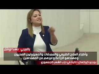 نائبة معارضة: ميزانية الدولة تعصف بكل فئات المجتمع