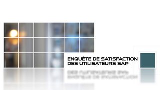 USF - Enquête de satisfaction des clients SAP 2020