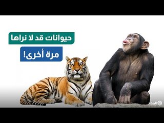 حيوانات قد لا نراها مجددا على سطح الأرض!
