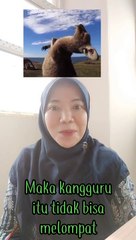 apa yang terjadi jika kita mengangkat ekor kangguru