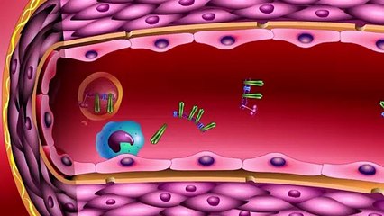 TIÊM VACCINE XONG KHÔNG SỐT KHÔNG CÓ TÁC DỤNG?