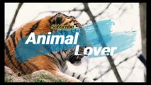 German Shepard |Animal Lover |Animals