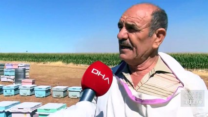 Kuraklık arıcıları da vurdu!