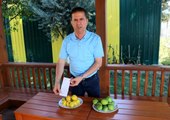 Çiftçinin çöpe attığı ıskarta limon marketlerde 6 liradan satılıyor