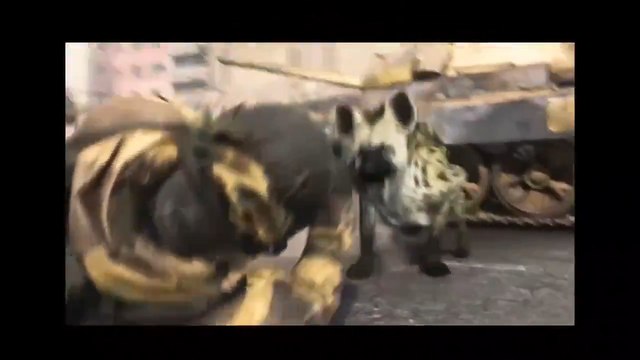 Call of Duty Warzone: Hienas y perros lobo, las nuevas y espectaculares ejecuciones que llegan ya