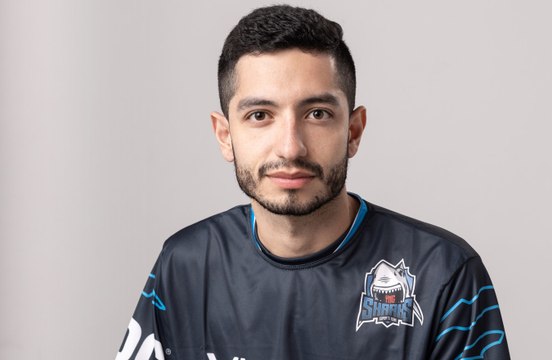 Faltou tudo, parecíamos umas baratas tontas , diz Gaabx, da Sharks