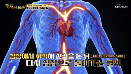 두 개의 심장 생명을 지키는데 중요한 종아리 근육 TV CHOSUN 210928 방송