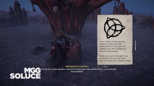 Misterios, recorrido por AC Valhalla: mojones, anomalías, agárico de mosca ... Nuestros guías