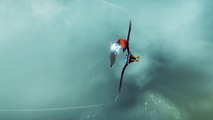 Análisis de Falconeer para Xbox Series, One y PC - Nunca volar sobre un halcón fue tan real y bonito