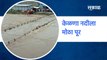 Heavy Rain : भोकरदन  शहरातून वाहणाऱ्या केळणा नदीला मोठा पूर  | Sakal Media |