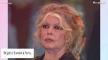 Brigitte Bardot : Maman dure avec son fils Nicolas, pas 