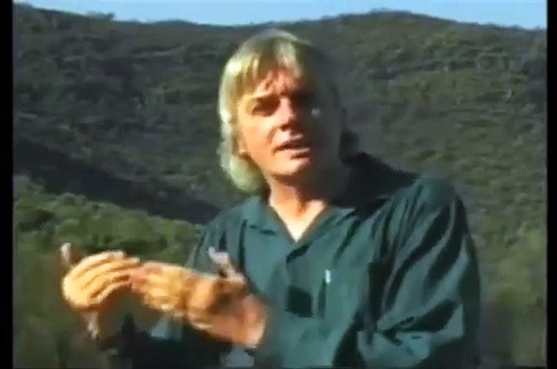 Reptilians - Exopolitics Course  - David Icke (5 14)