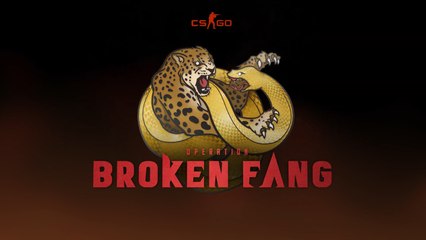 CSGO: El sistema de pings sigue dando problemas en competitivo, pero saca lo mejor de los equipos