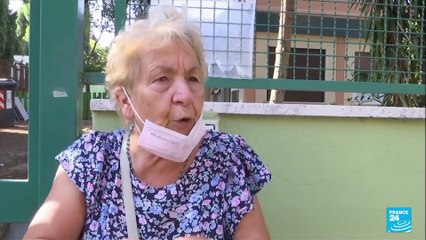 Italie: Découvrez les images impressionnantes de sangliers qui envahissent les rues de Rome,  provoquant la colère des habitants