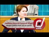 المرأة الحديدية لأردوغان ونظامه: تأخذون من جيب الأمة وتملأون جيوبهم