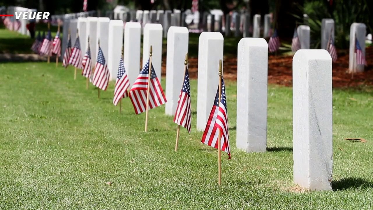 Trump’s Special VA Task Force Sought to Sell Veteran Health Records for Profit