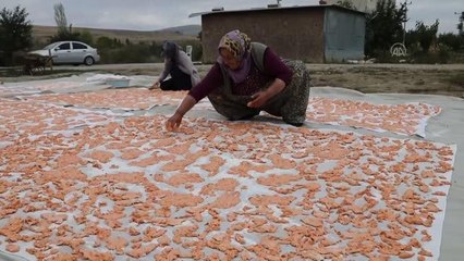 Kışlık ev salçası ve tarhana mesaisi başladı