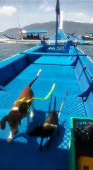 happy dog namin kc nkpasyal nmn