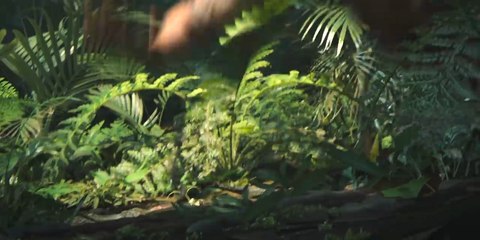 Warzone Cold War: Cómo conseguir el ZRG 20mm, baja instantánea en cabeza, hombros, torso y estómago