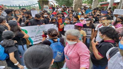 हजारों पेड़ों को बचाने के लिए उत्तराखंड का चिपको आंदोलन, पेड़ों पर मौली बांधकर रक्षा का संकल्प