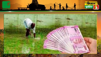Prime Minister Narendra Modi ने आज देश के किसानों (Farmers) को दी बड़ी सौगात, देश के सामने पेश की 35 फसलों की नई किस्में (35 new varieties of crops) | Kisan Bulletin | Green TV