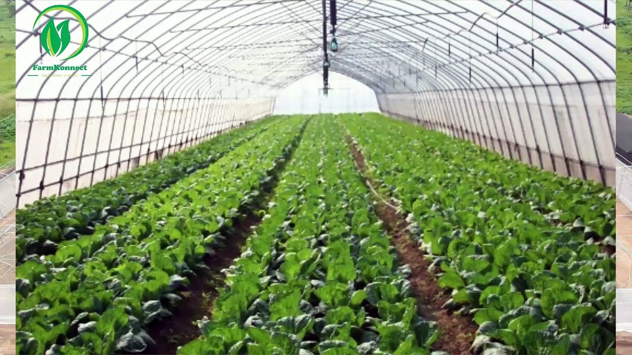 FarmAfrik is helping to grow sustainable farming techniques