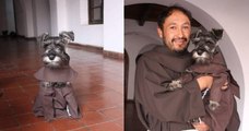 Bolivie : des moines adoptent un chien errant et en font la mascotte de leur monastère